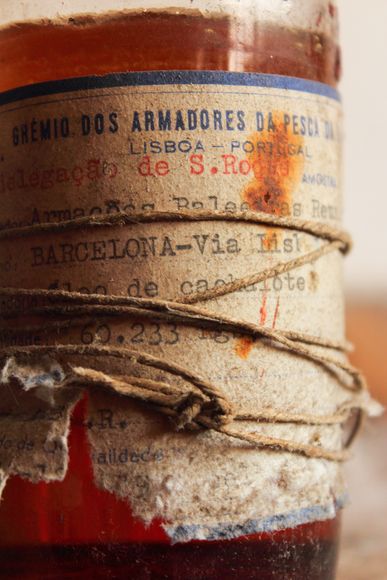 电灯出现前人类如何照明：印第安人点燃三文鱼当蜡烛，苏格兰人烧海燕鸟照明