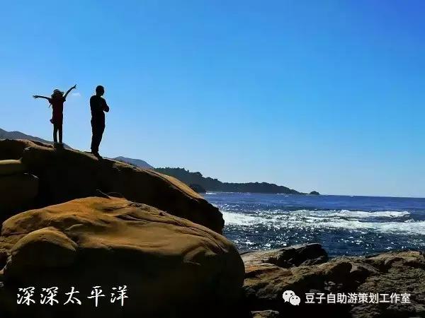 经常出国旅行,出国旅行的原因