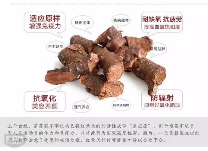 雪域高原红景天,雪域高原补气血药材