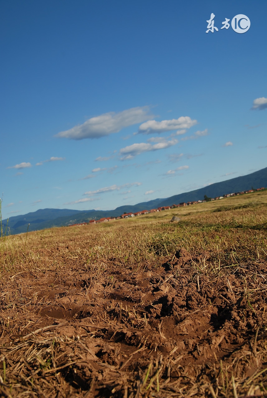 投资科普常识大全,投资专业知识科普