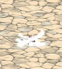 多图：DNF全职业二觉宠物外观一览，回归冒险家可免费领取