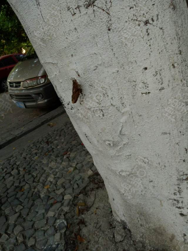 十条笑话：阎王爷：武大郎，你的帽子还没摘下来