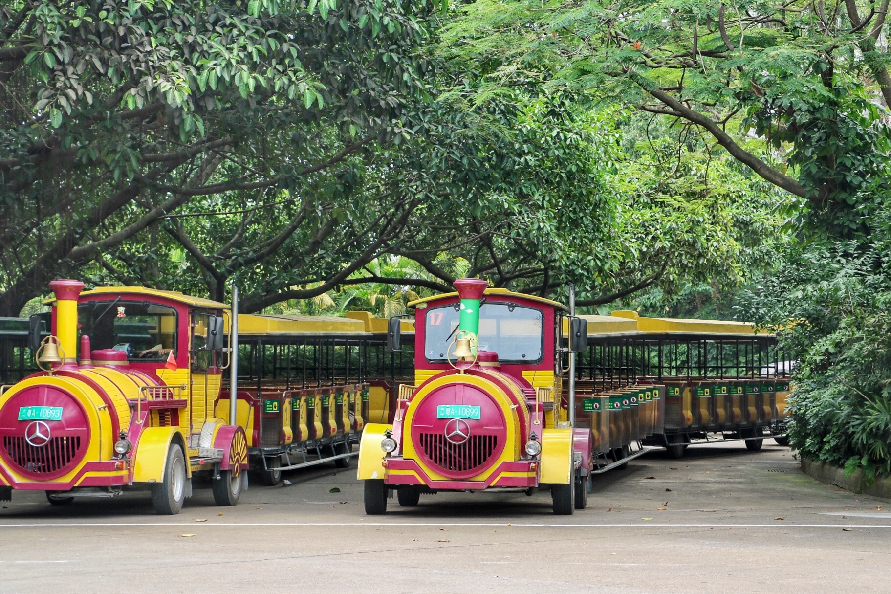 一月广州长隆野生动物园游玩攻略,长隆海洋王国不可错过