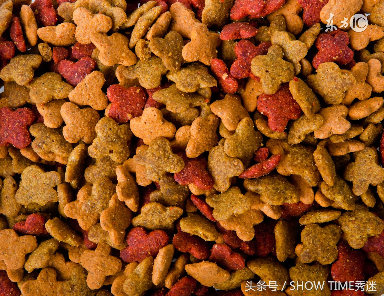 来自宠物店和狗粮七七八八的记实录（一）