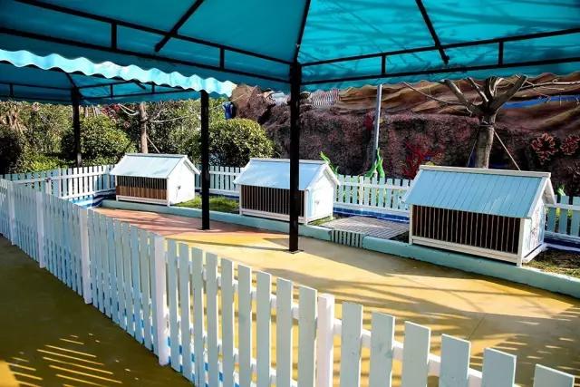 乐海水世界视频,乐海水世界有室内吗