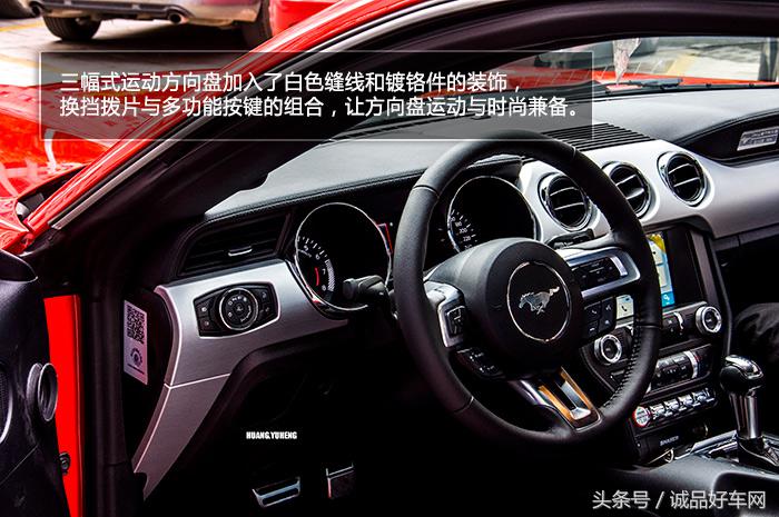 没有奔跑在草原的野马，成了男人心口的朱砂痣