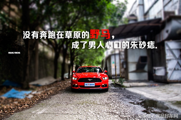 没有奔跑在草原的野马，成了男人心口的朱砂痣