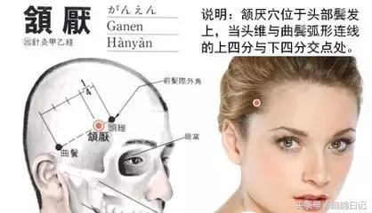 人体穴位大全——颔厌穴:头痛、耳鸣、眩晕、齿痛等