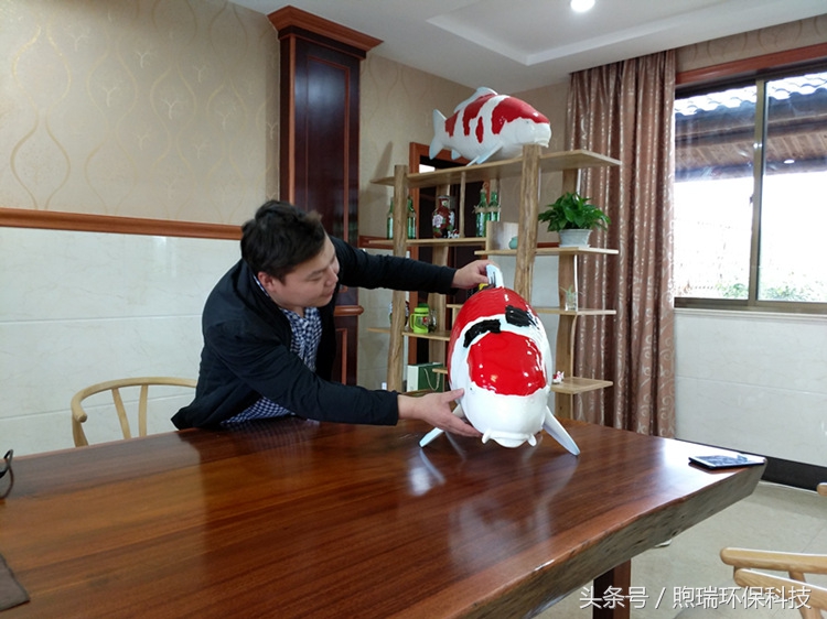 我宁愿化做池塘里的一尾锦鳞,不畏浮云,不惧声色,不问世俗!