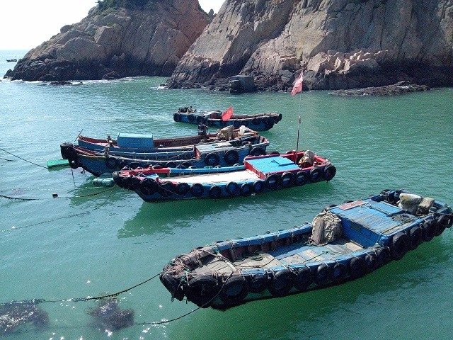 为了旅游凌晨四点出发,什么时间去枸杞岛最好