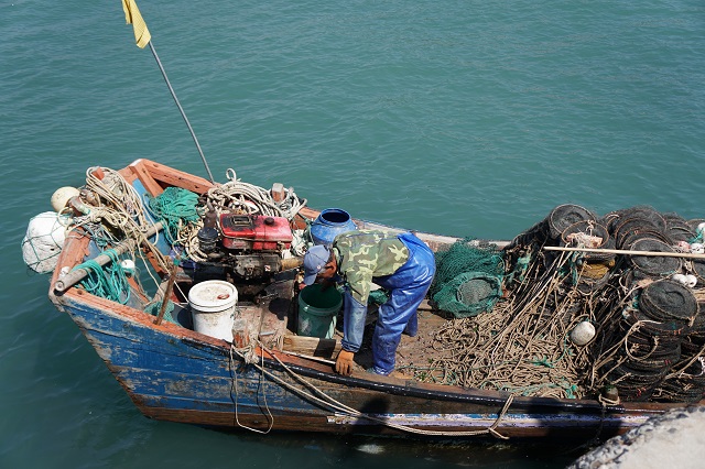 为了旅游凌晨四点出发,什么时间去枸杞岛最好