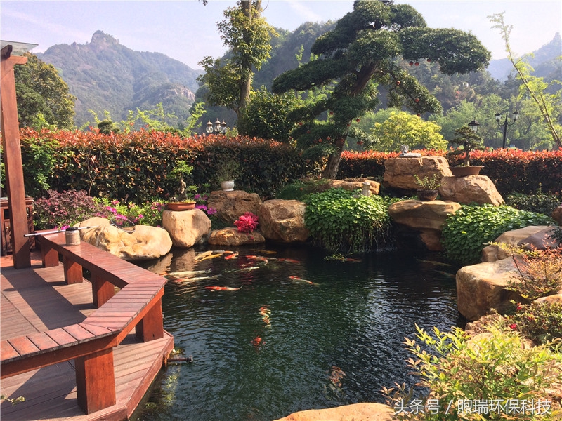 我宁愿化做池塘里的一尾锦鳞,不畏浮云,不惧声色,不问世俗!