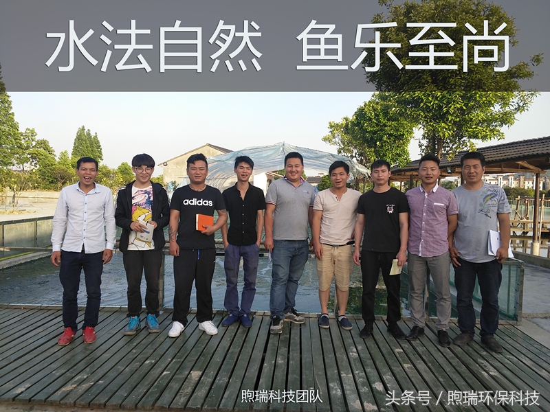 我宁愿化做池塘里的一尾锦鳞,不畏浮云,不惧声色,不问世俗!