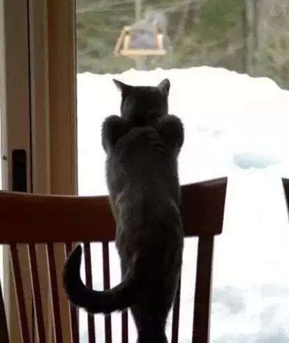 职场表情包朋友圈,职场表情包套装