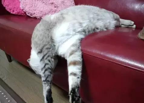 职场表情包朋友圈,职场表情包套装