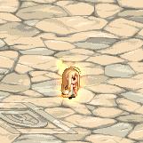 多图：DNF全职业二觉宠物外观一览，回归冒险家可免费领取