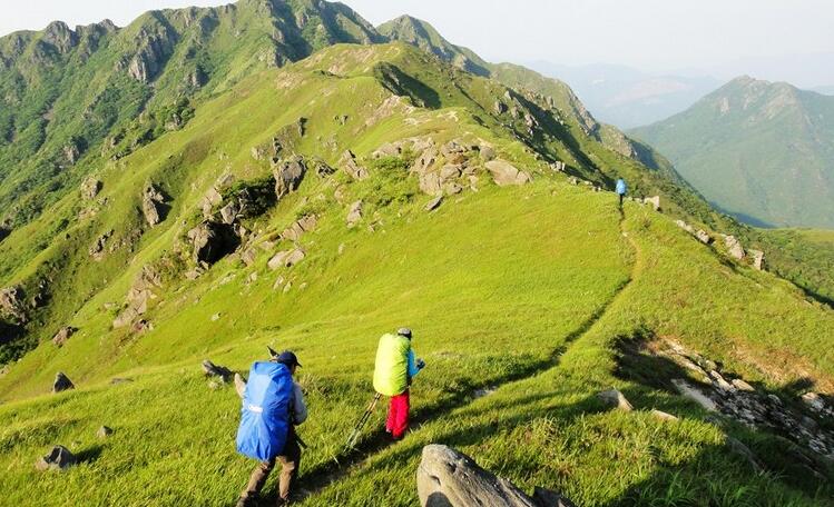 旅行博主教你如何全球免费旅行,怎么样可以获得免费旅行者