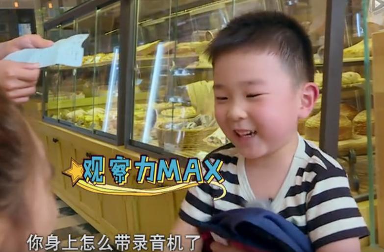 李晨鹿晗应采儿什么综艺节目,鹿晗跟应采儿综艺叫什么名字