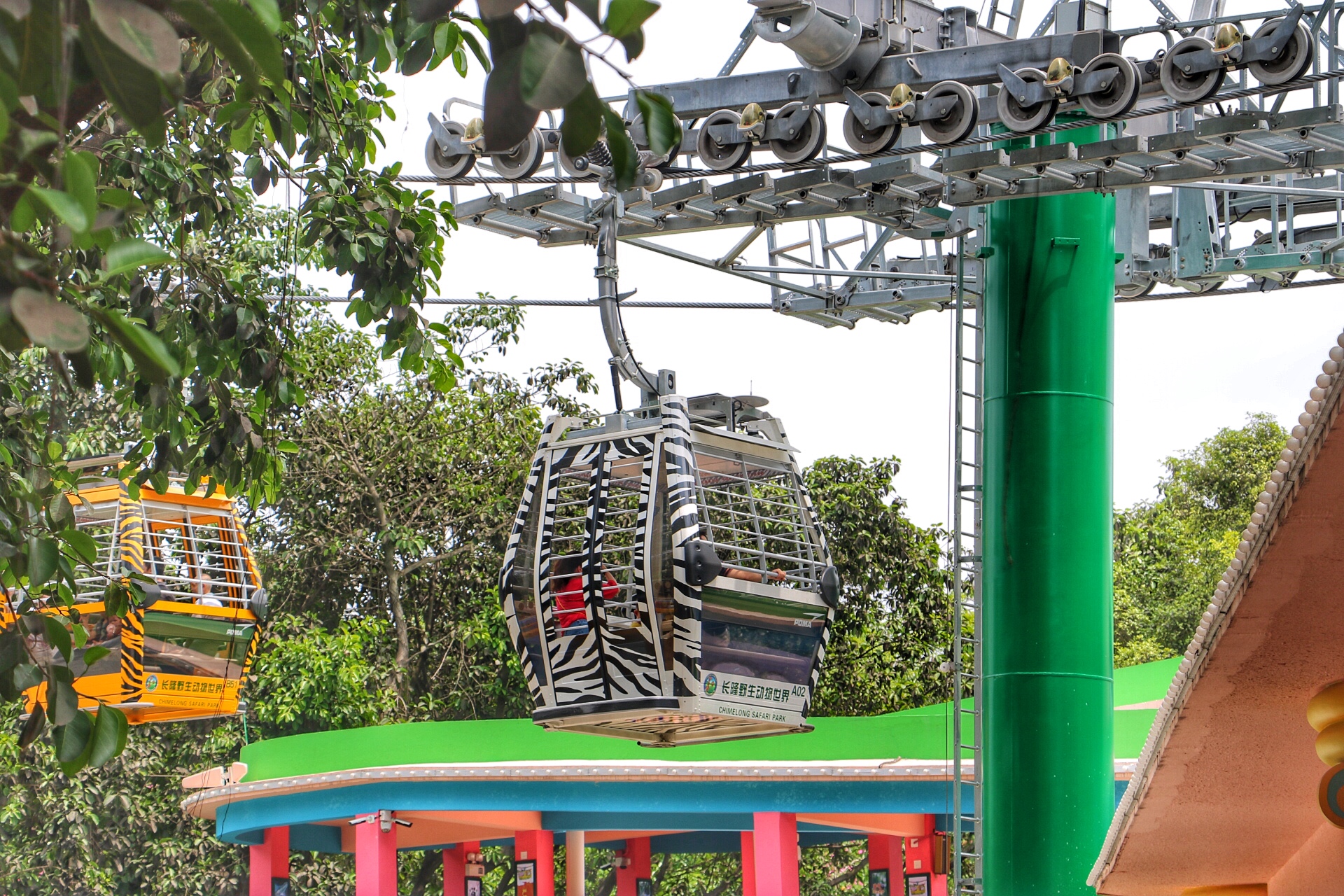 一月广州长隆野生动物园游玩攻略,长隆海洋王国不可错过