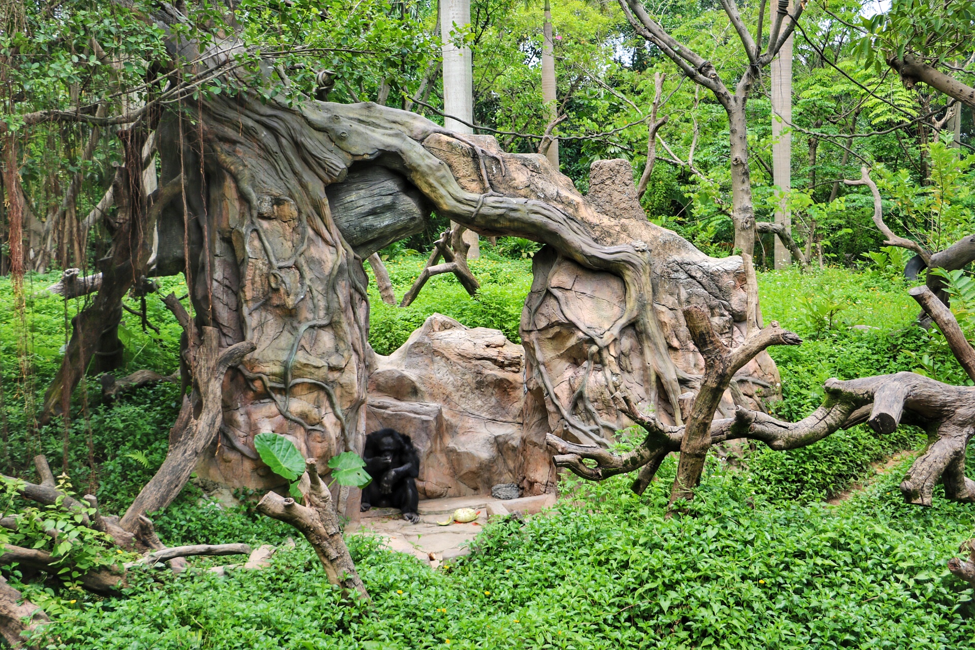 一月广州长隆野生动物园游玩攻略,长隆海洋王国不可错过