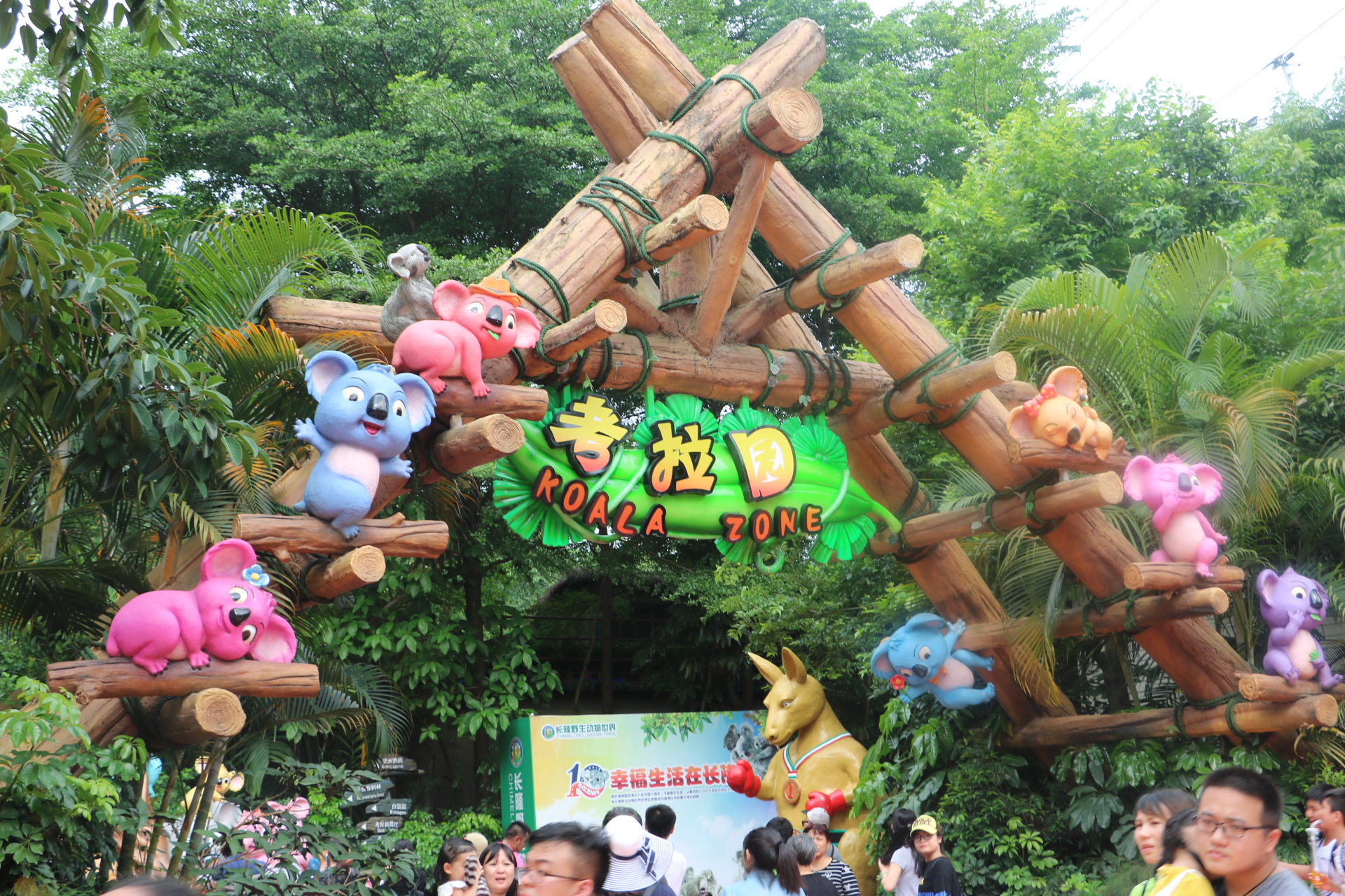 一月广州长隆野生动物园游玩攻略,长隆海洋王国不可错过