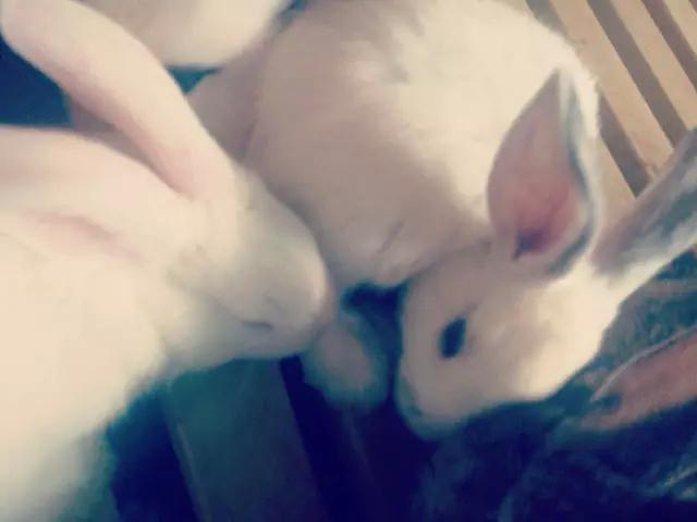 乐海水世界视频,乐海水世界有室内吗