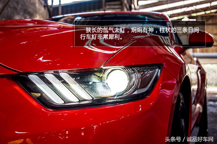 没有奔跑在草原的野马，成了男人心口的朱砂痣