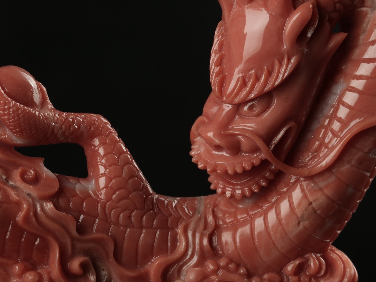 红珊瑚有多珍贵,红珊瑚珍贵么