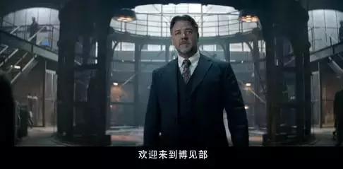 新木乃伊电影被差评原因,新木乃伊4上映了吗