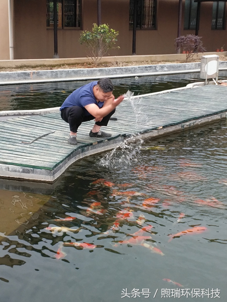 我宁愿化做池塘里的一尾锦鳞,不畏浮云,不惧声色,不问世俗!