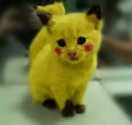 职场表情包朋友圈,职场表情包套装