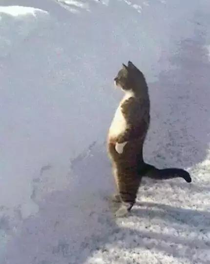 职场表情包朋友圈,职场表情包套装