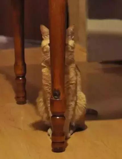 职场表情包朋友圈,职场表情包套装