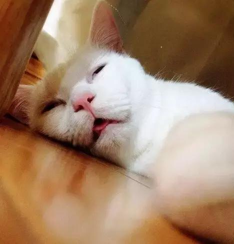 职场表情包朋友圈,职场表情包套装