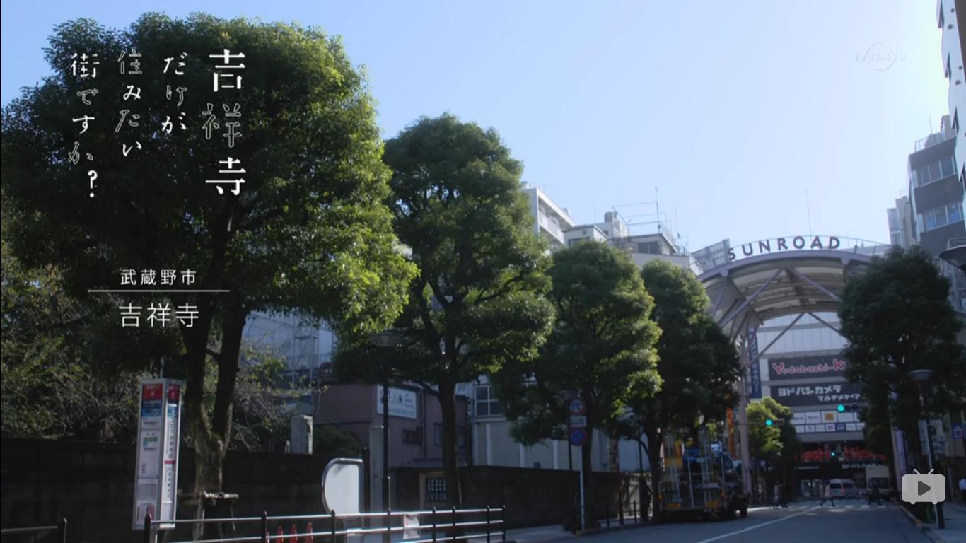 桔梗安利——只想住在吉祥寺吗？（附逛吃指南05)