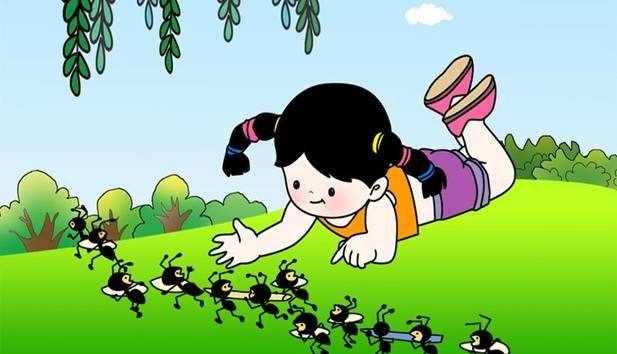 蚂蚁的生活习性科普,蚂蚁生活习性研究具体过程