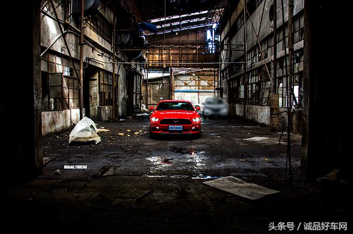 没有奔跑在草原的野马，成了男人心口的朱砂痣