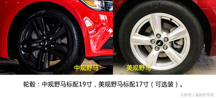 没有奔跑在草原的野马，成了男人心口的朱砂痣