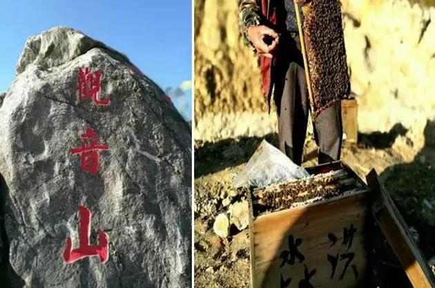 拒绝下饺子,出门就是海,双月湾爱琴海酒店