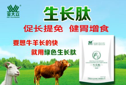 牛羊天地交易市场,中国牛羊供求信息网官网