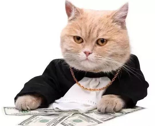 职场表情包朋友圈,职场表情包套装