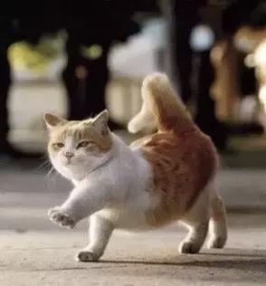 职场表情包朋友圈,职场表情包套装