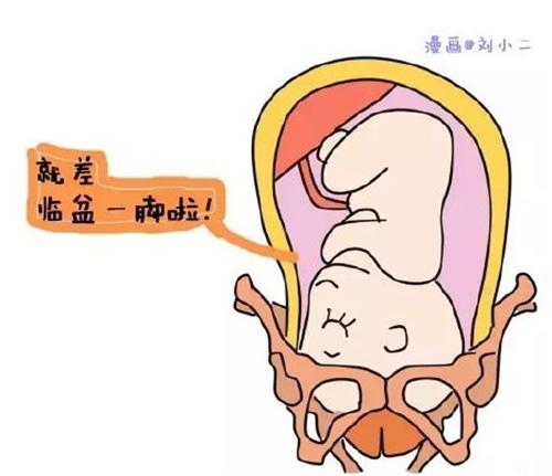 胎儿入盆会有什么表现想顺产的妈妈看这里详细入盆图解