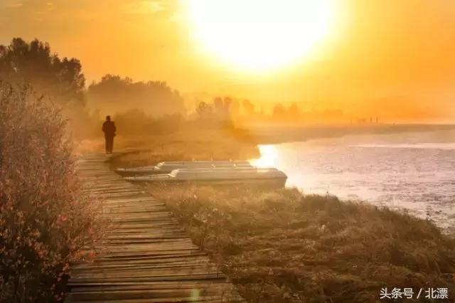 心情随笔经典抒情散文,心情随笔素材