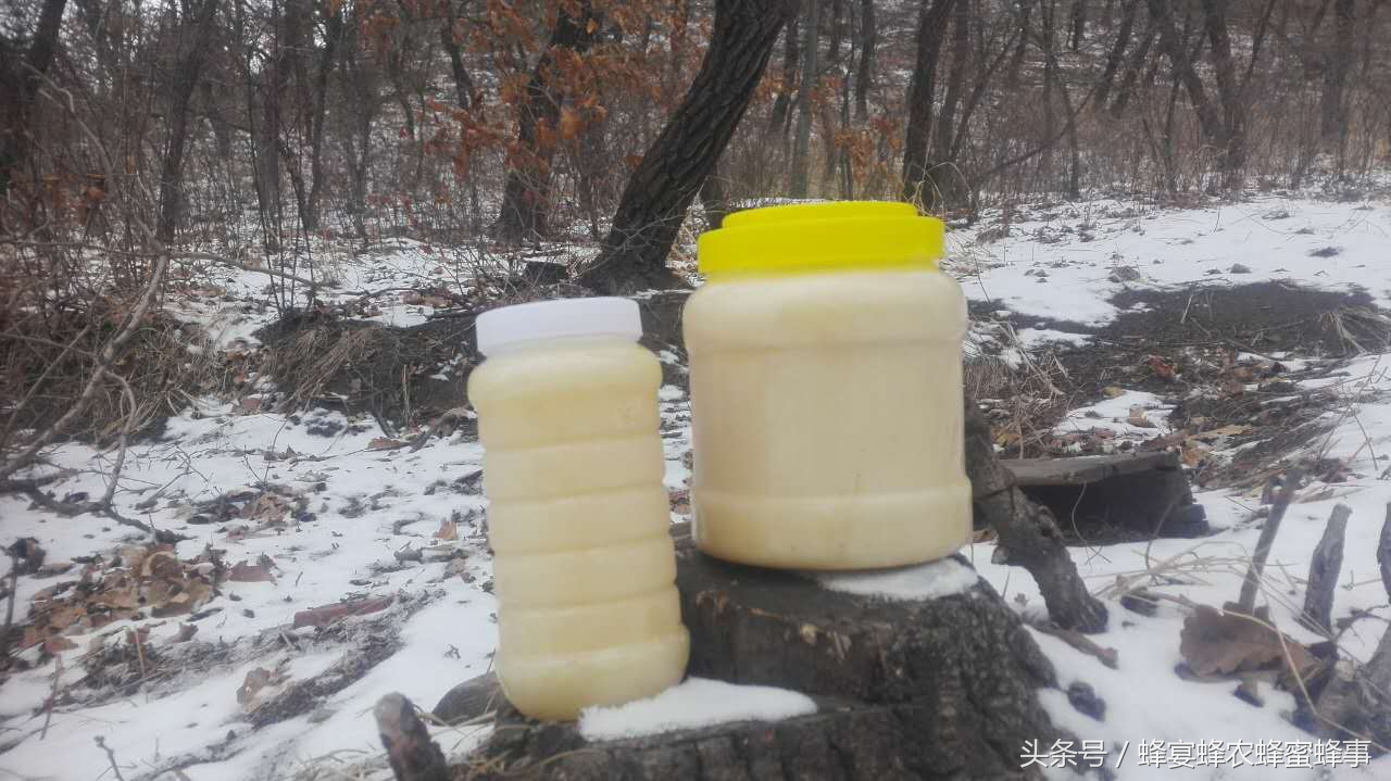 蜂蜜你不知道的5个妙处,蜂蜜你意想不到的功效