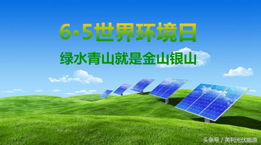 世界环境日倡导绿色低碳生活,世界环境日绿色环保创意
