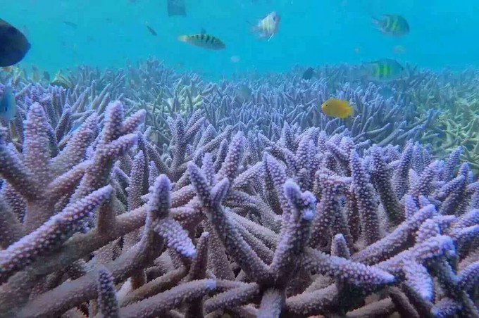 带着思念去旅行完整版,带着思念去海边