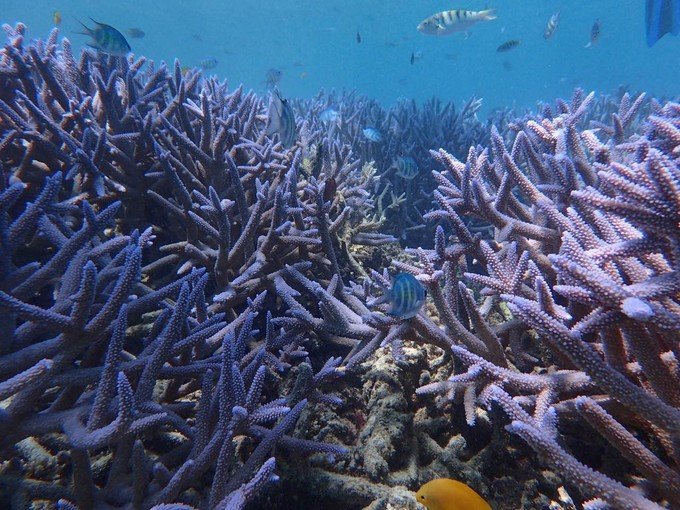 带着思念去旅行完整版,带着思念去海边