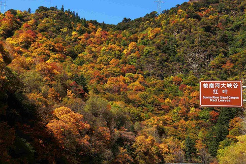 马尔康有什么好玩的地方吗,马尔康有哪些好玩的地方值得去