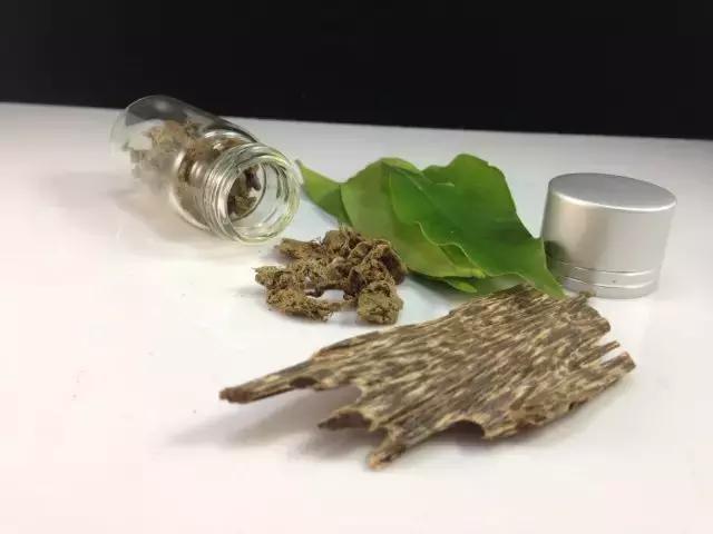 正宗沉香驱蚊,沉香驱蚊12小时